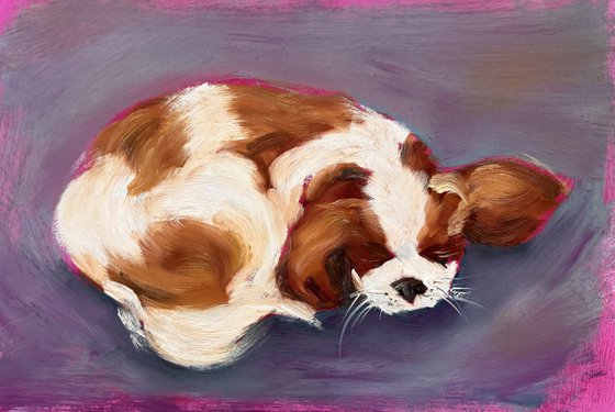 Afternoon Nap