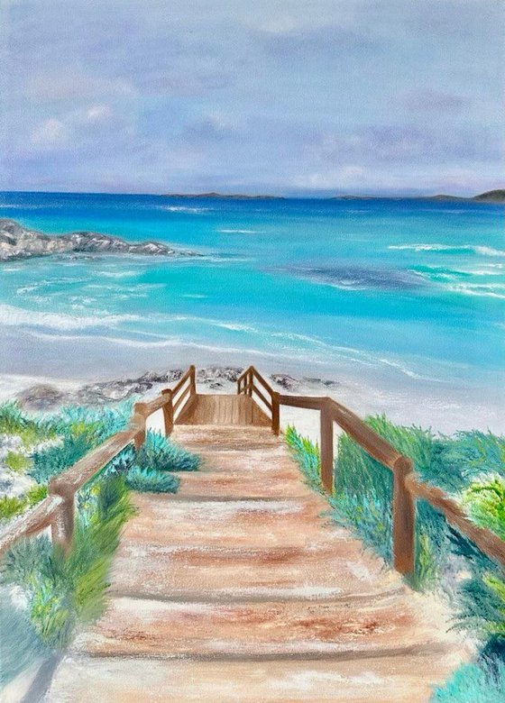 The Wild Coast