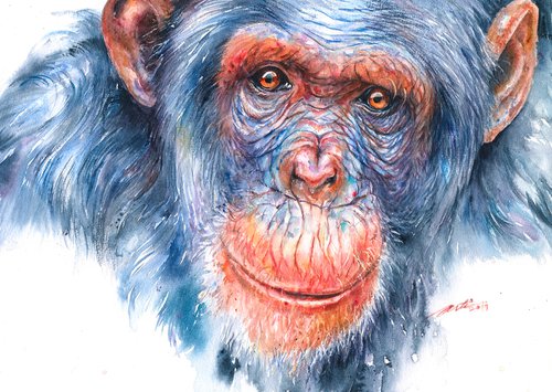 Blue Chimp Boya by Arti Chauhan