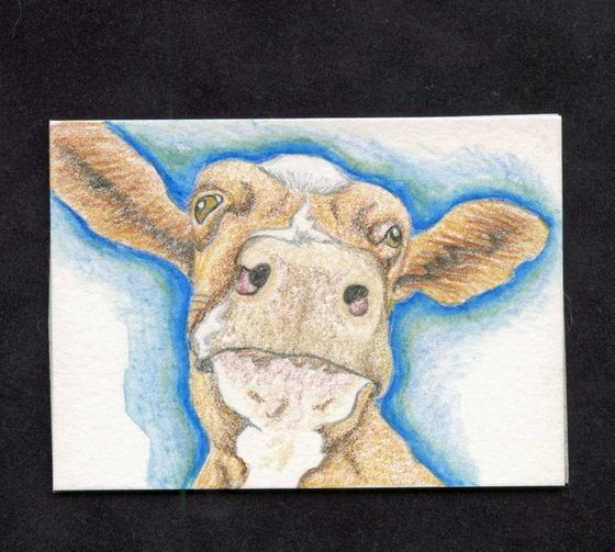 ACEO ATC Original Colored Pencil Art-Brown Cow Farm-Carla Smale