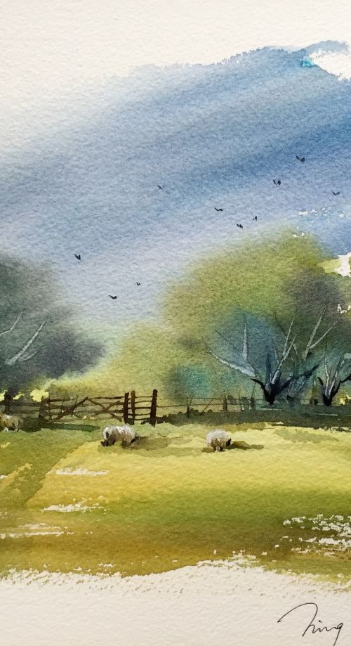 Sheep Farm by Jing Chen