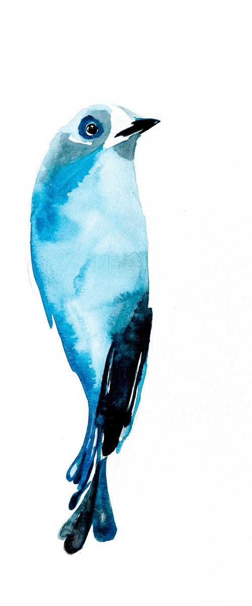Bird by Nadia Moniatis