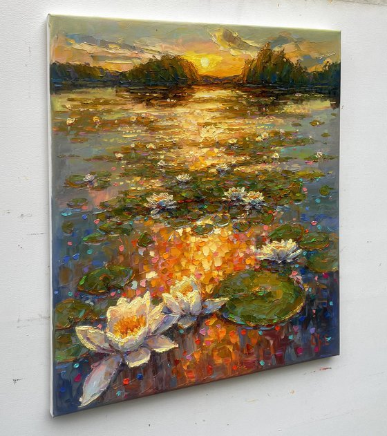 Water Lilies in Bloom