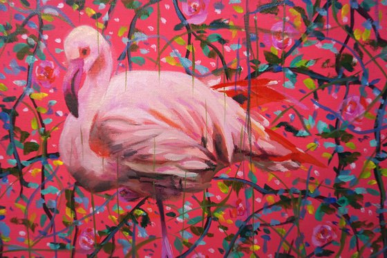 Flamingo in pink