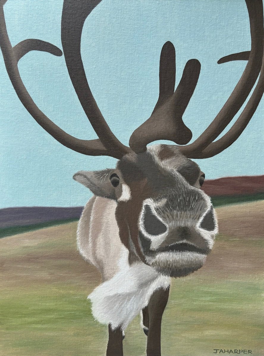 Photorealistic Animal Oil Painting By Jill Ann Harper, 15 X 19, Cairngorm Reindeer, Original Artwork