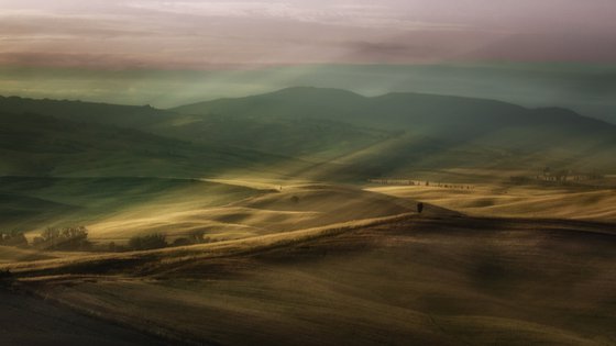 Whisper of the morning