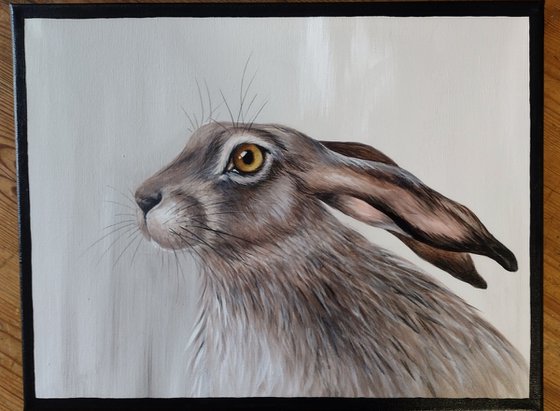 Hare