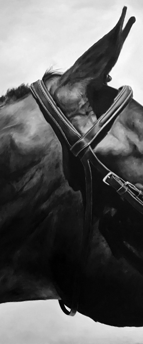 Oil painting with a horse "Nobility" 80*100 cm by Irina Ivlieva