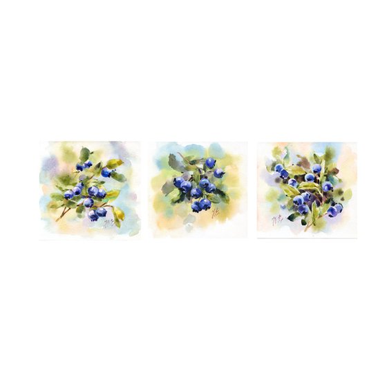 Triptych / Blueberry set