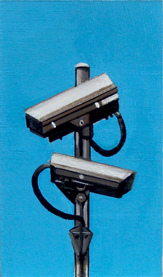 Security Camera 30