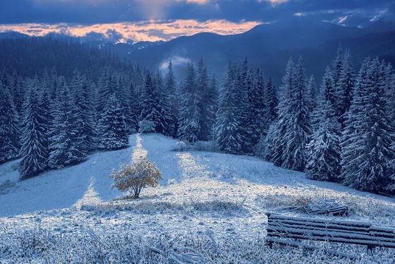 First snow in the mountains.