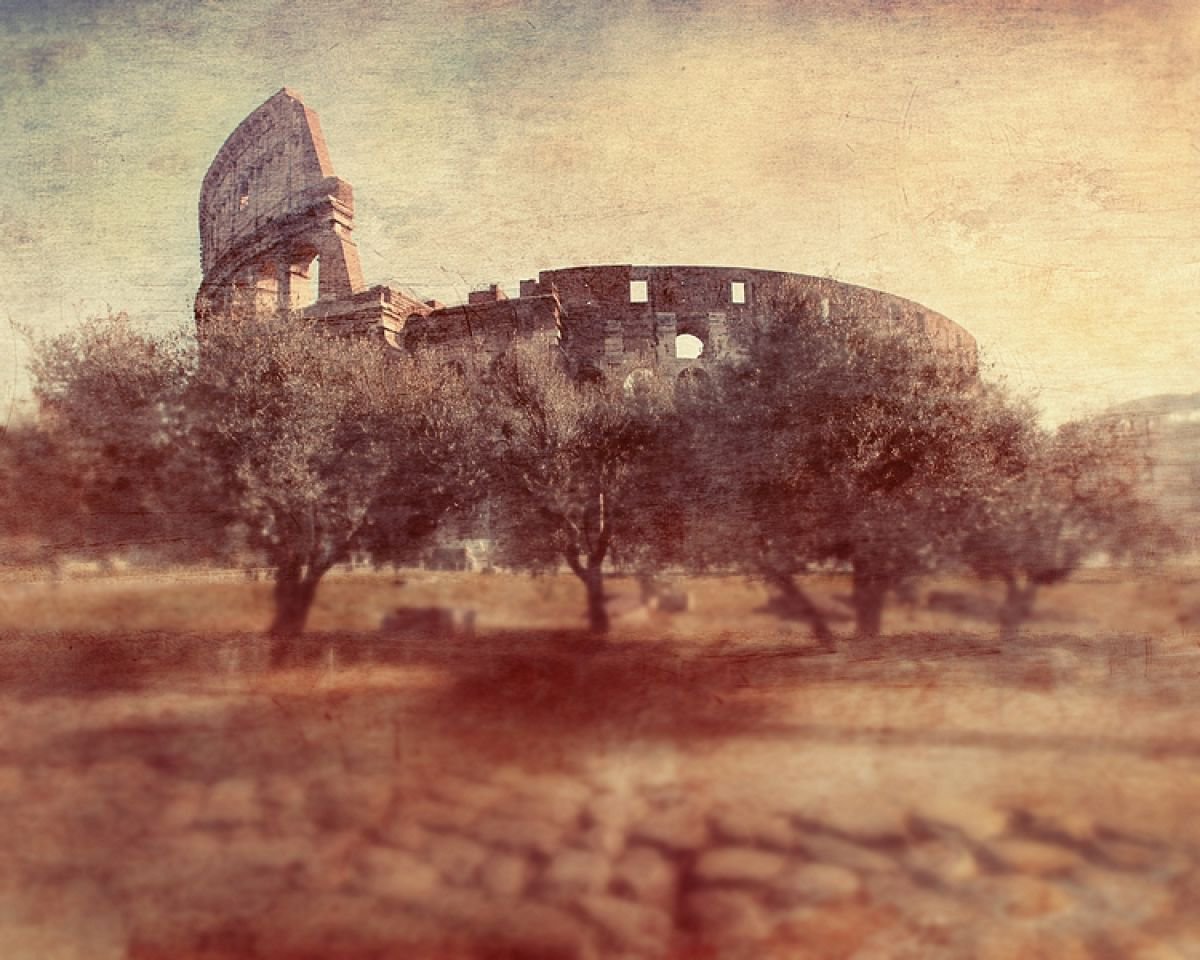 Colosseum through olive trees by Nadia Attura