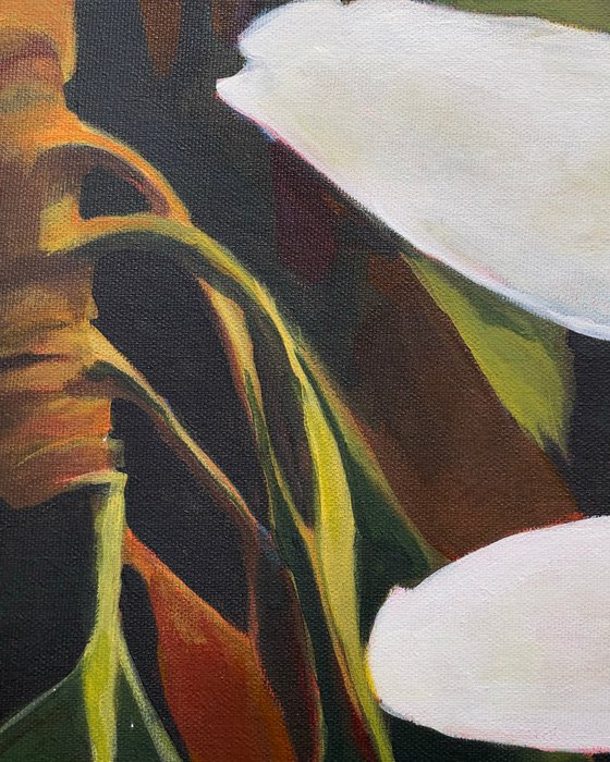 Magnolia 12