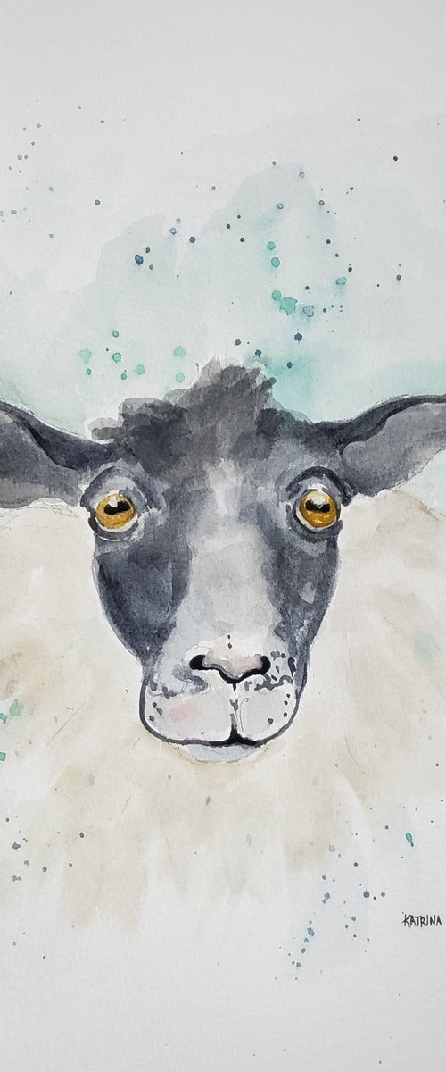 "Bewildered" - Sheep - Animals - Farm by Katrina Case