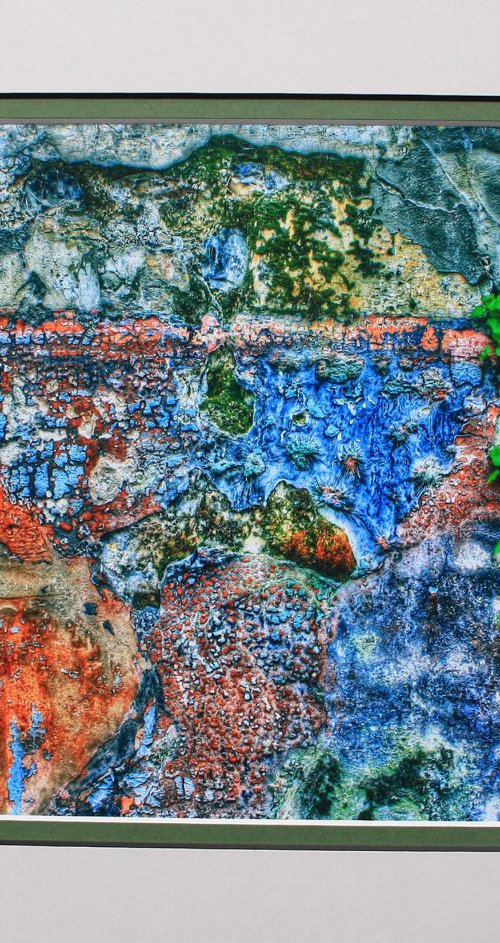 Decaying wall by Robin Clarke