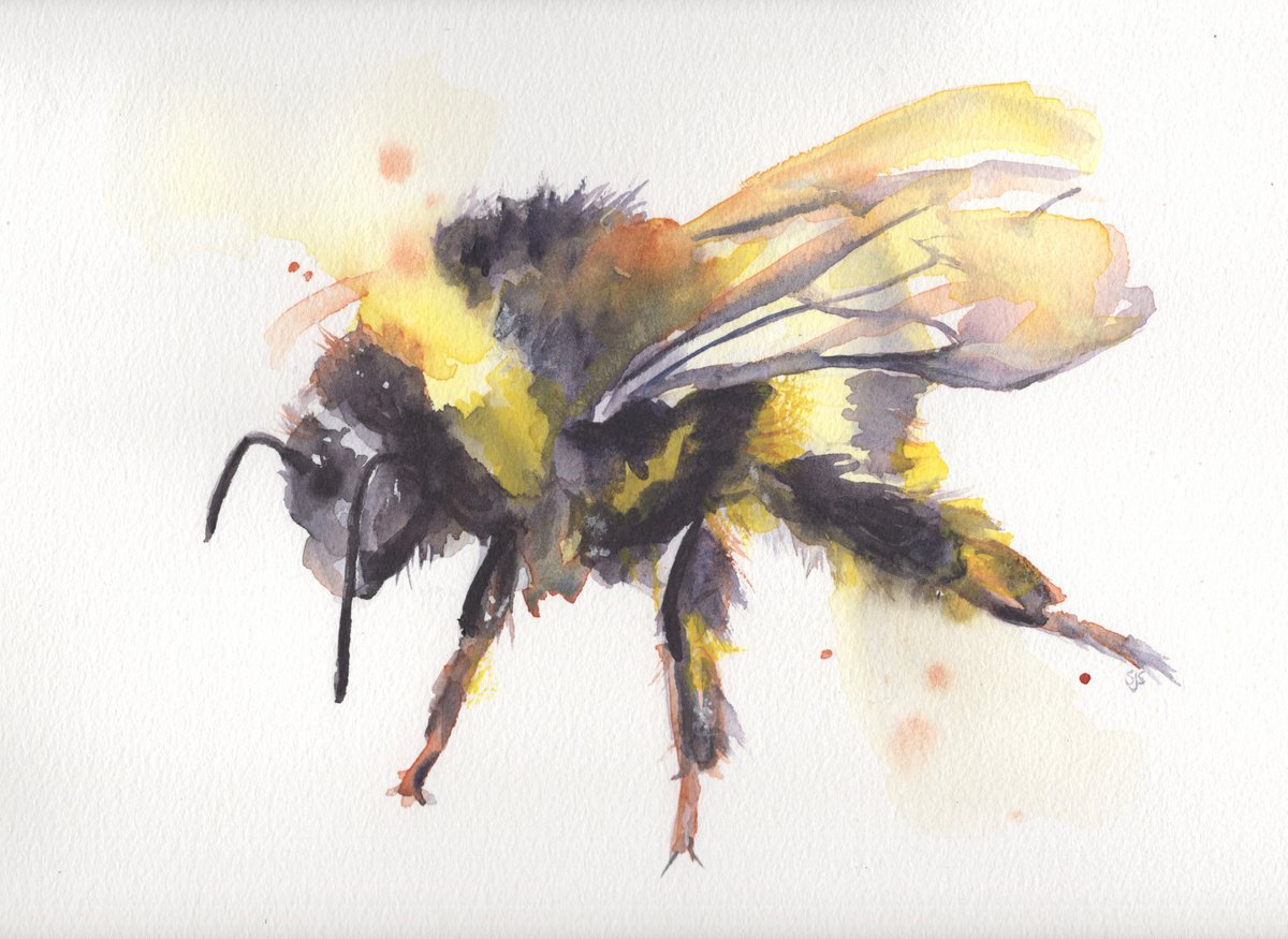 Watercolour Bee 4 by Sarah Stowe