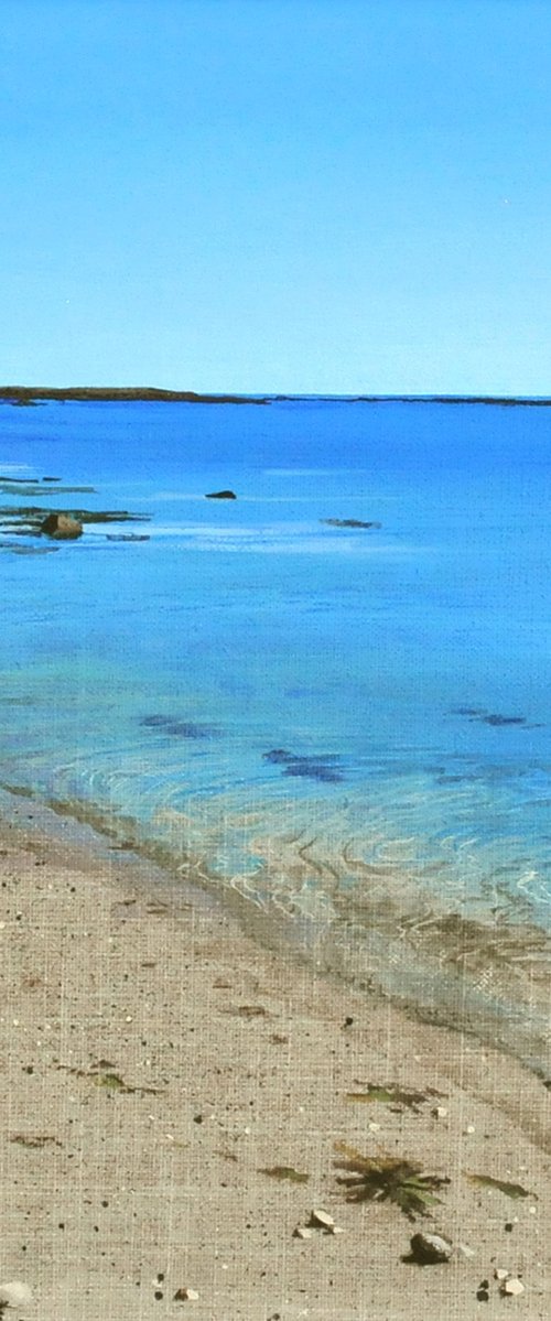Strandline by Theresa Shaw