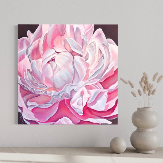 Pink peony