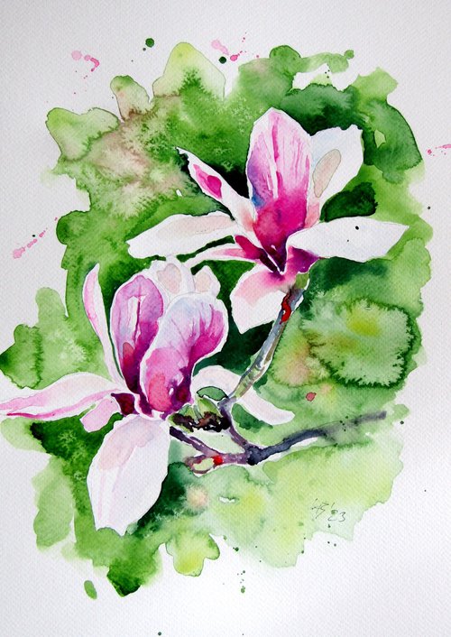 Beautiful magnolia by Kovács Anna Brigitta
