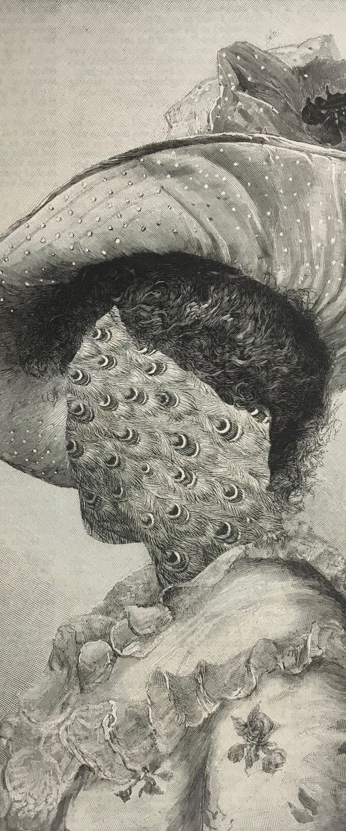 Peacock Feathers by Tudor Evans