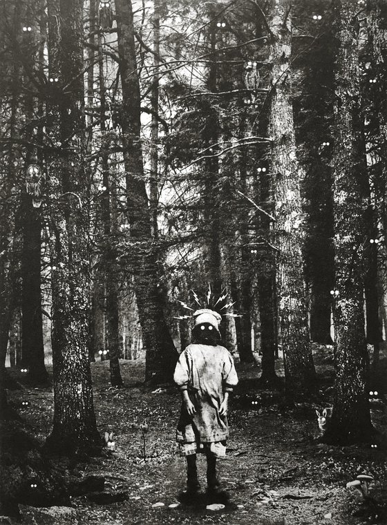 Exterior No.33: The Woods Are Angry