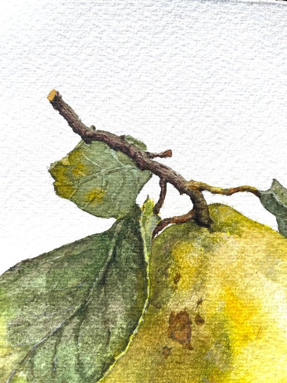 Original Watercolor Painting Apple