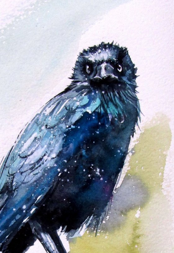 Crow