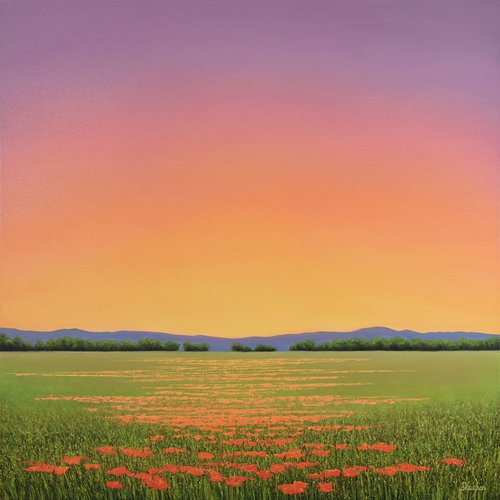 Vibrant Poppy Field by Suzanne Vaughan
