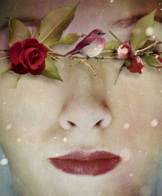 Roses - Portrait - Photography - Surreal - Manipulated