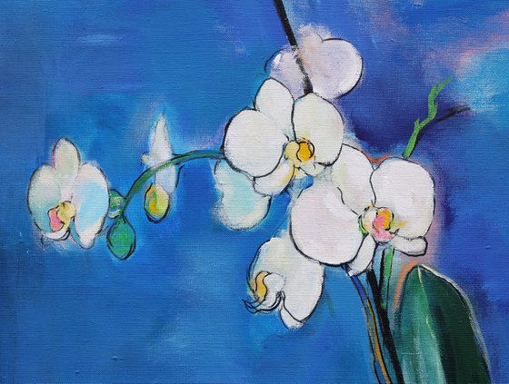 Orchids