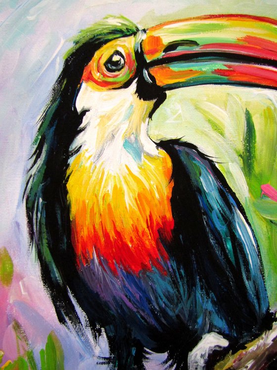 Toucan II