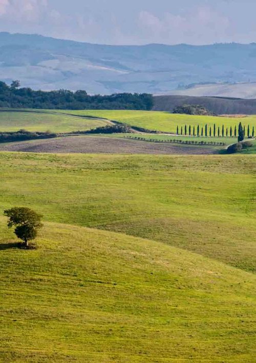 Tuscany - A3 by Ben Robson Hull