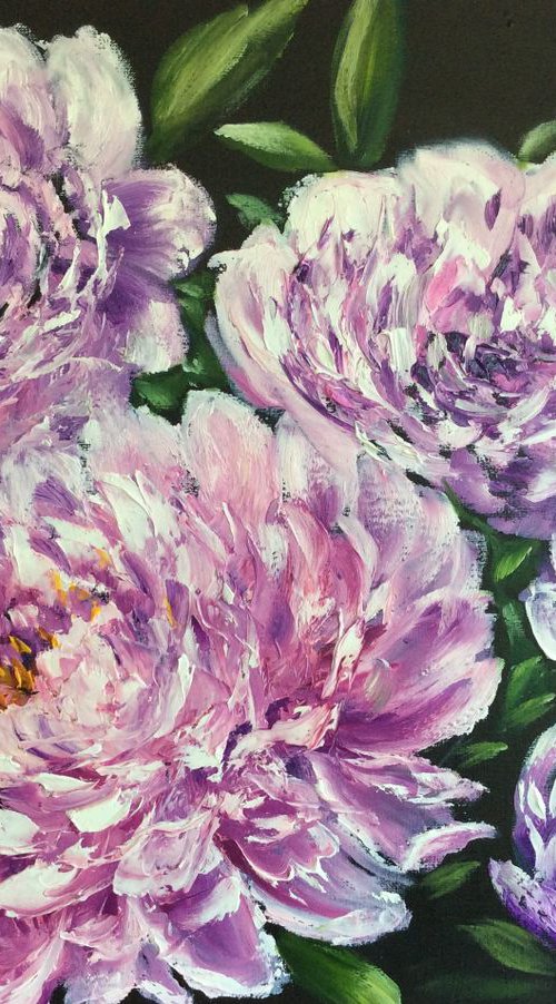 Peonies by Nataliia Plakhotnyk
