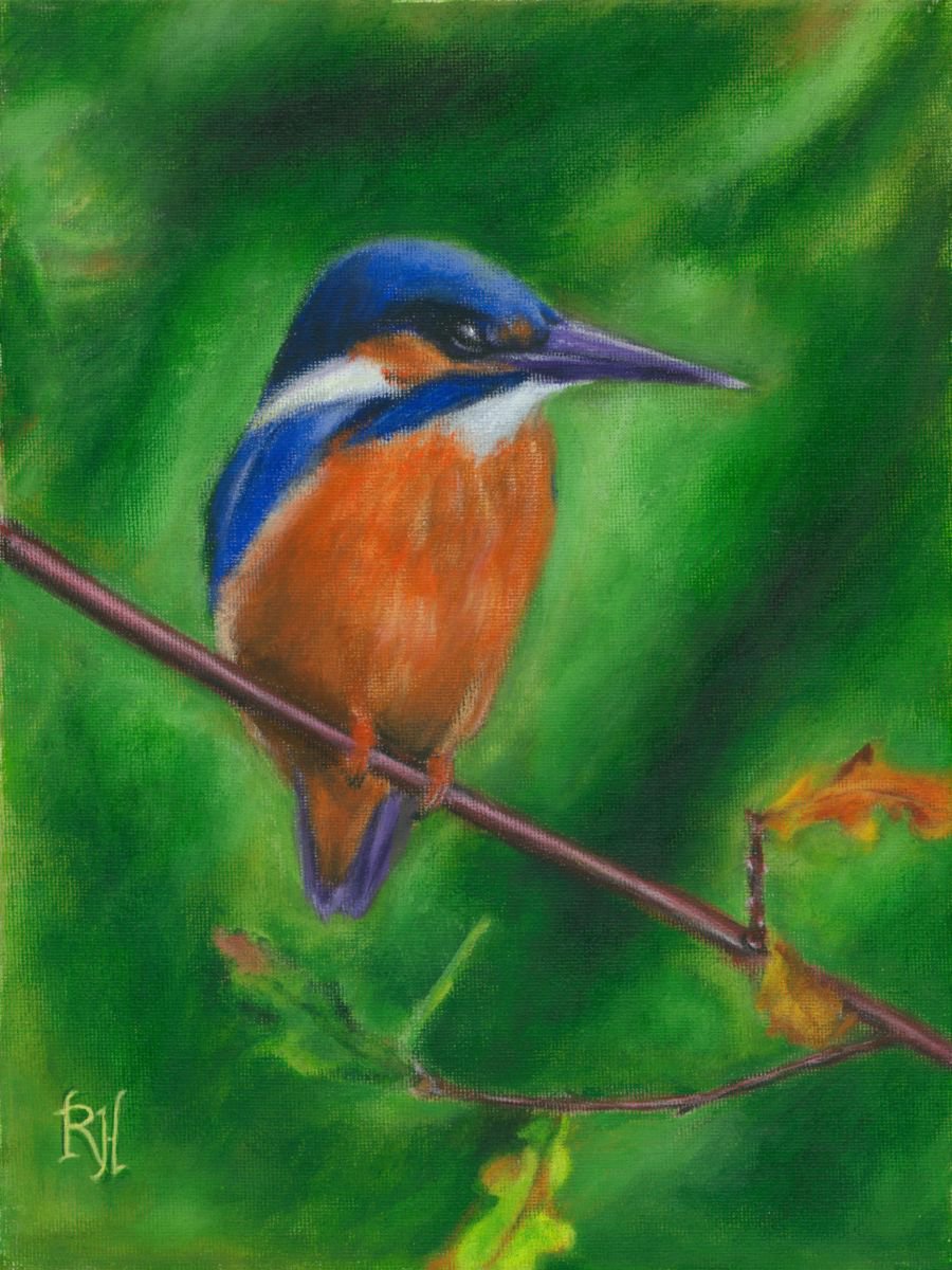 Kingfisher by Rick Hardcastle