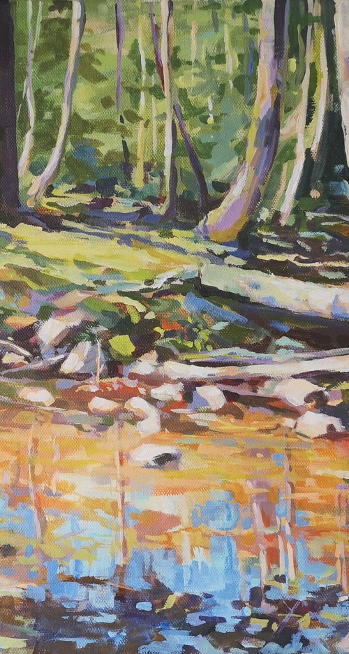 Sunny stream 2 by Alexander Koltakov