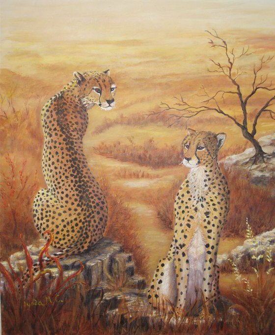 A Pair of Cheetahs
