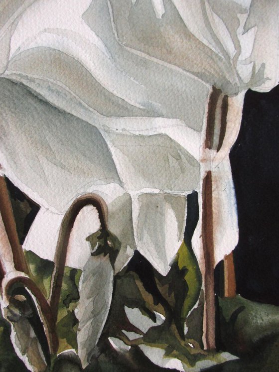 A painting a day #7 "Autumn Cyclamen"