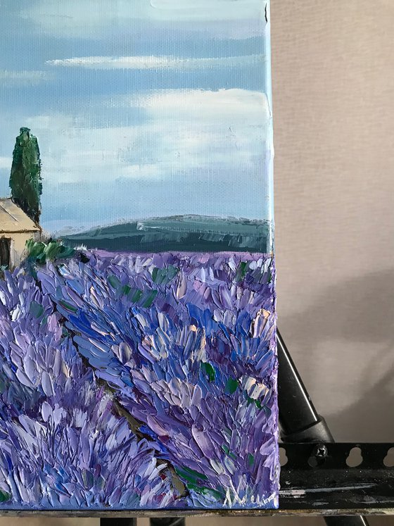 Provence Lavender field 100%Original Oil Painting