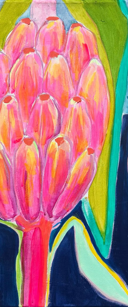 Pink Bananas at Dusk Study by Kathryn Sillince