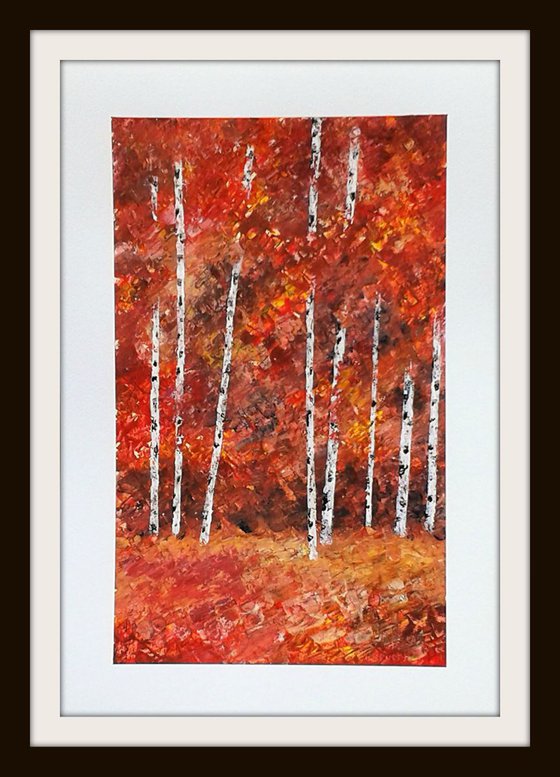 Autumnal Silver Birch 3