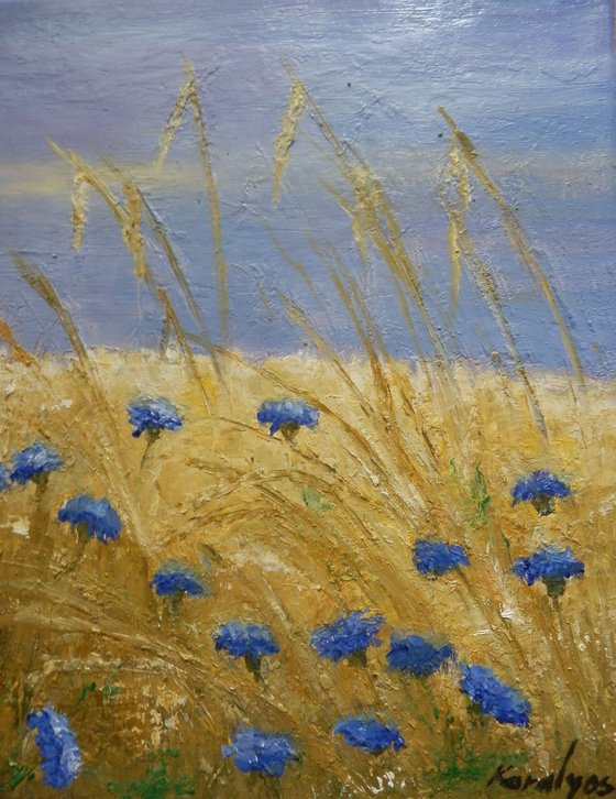 Chicory in the wheat field