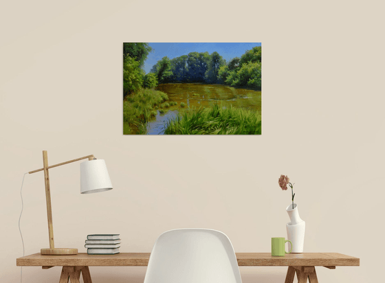 Old pond