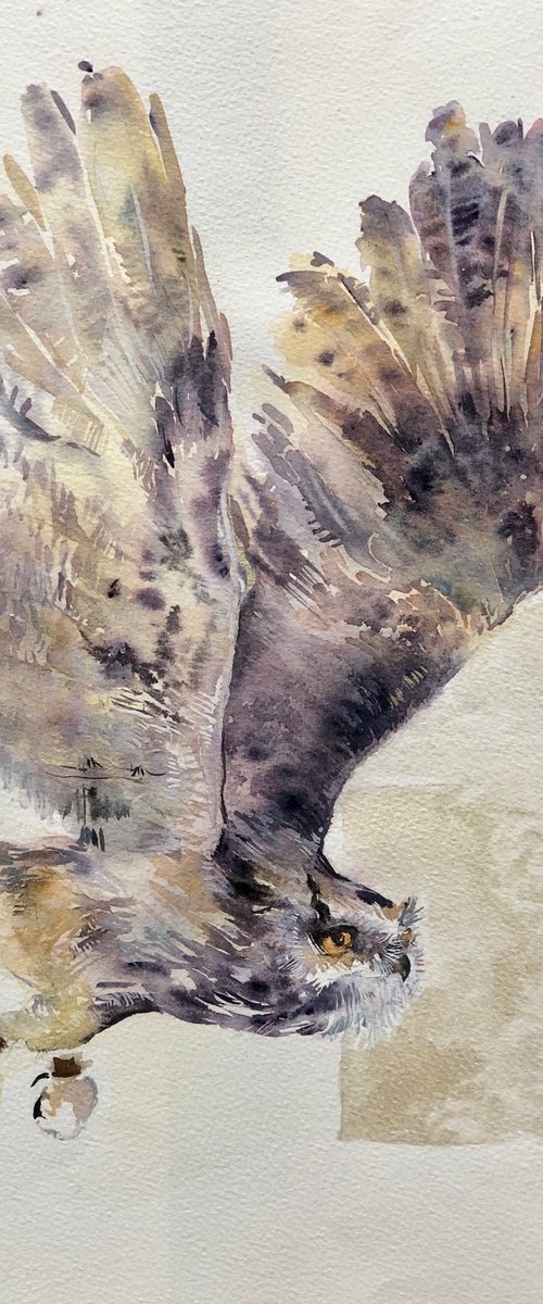 The Owl #4 by Larissa Rogacheva