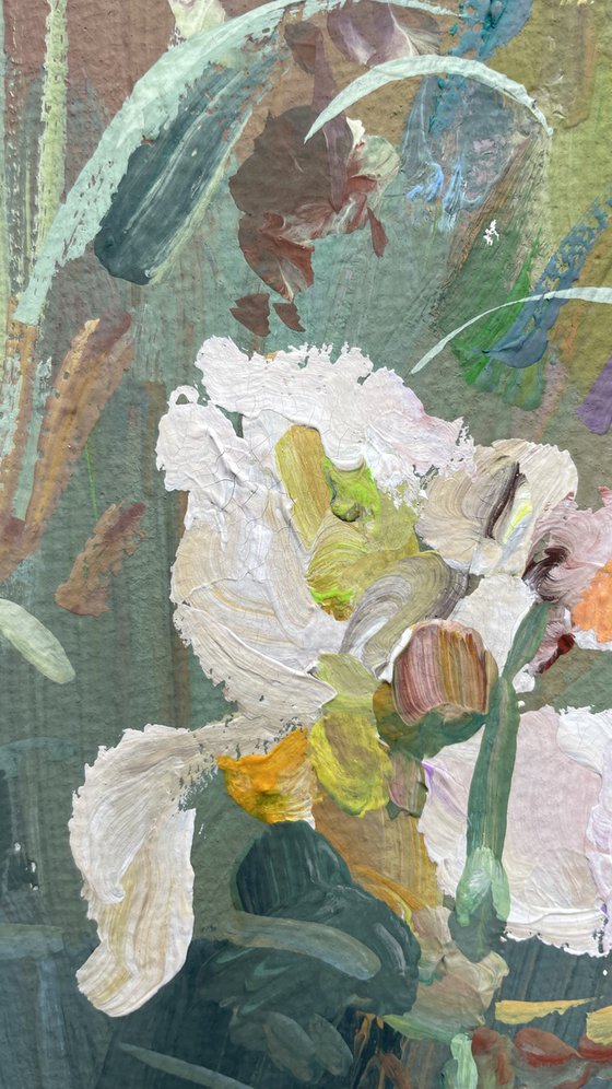 White irises in the garden