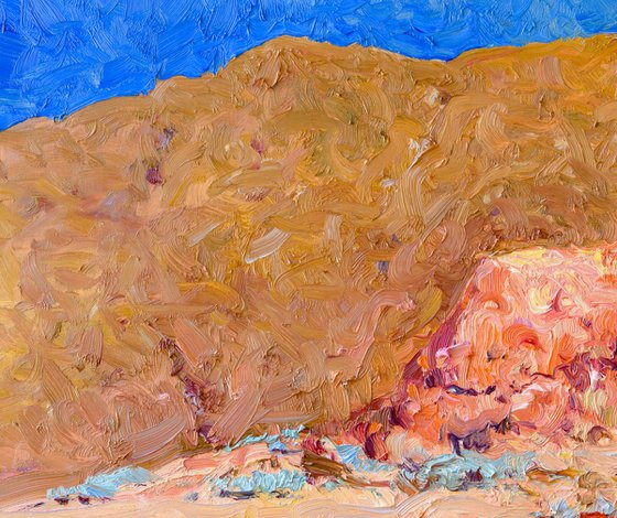 Desert Reverie
