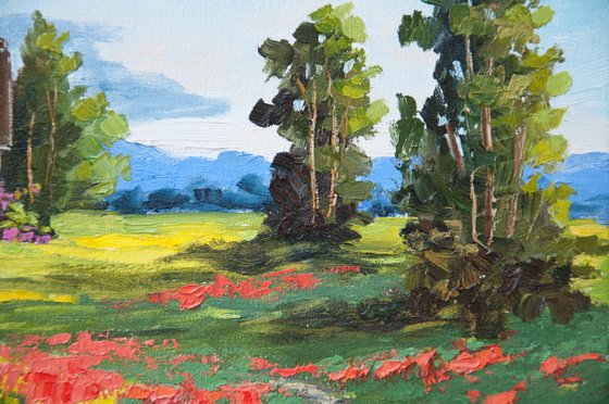 Red poppies.