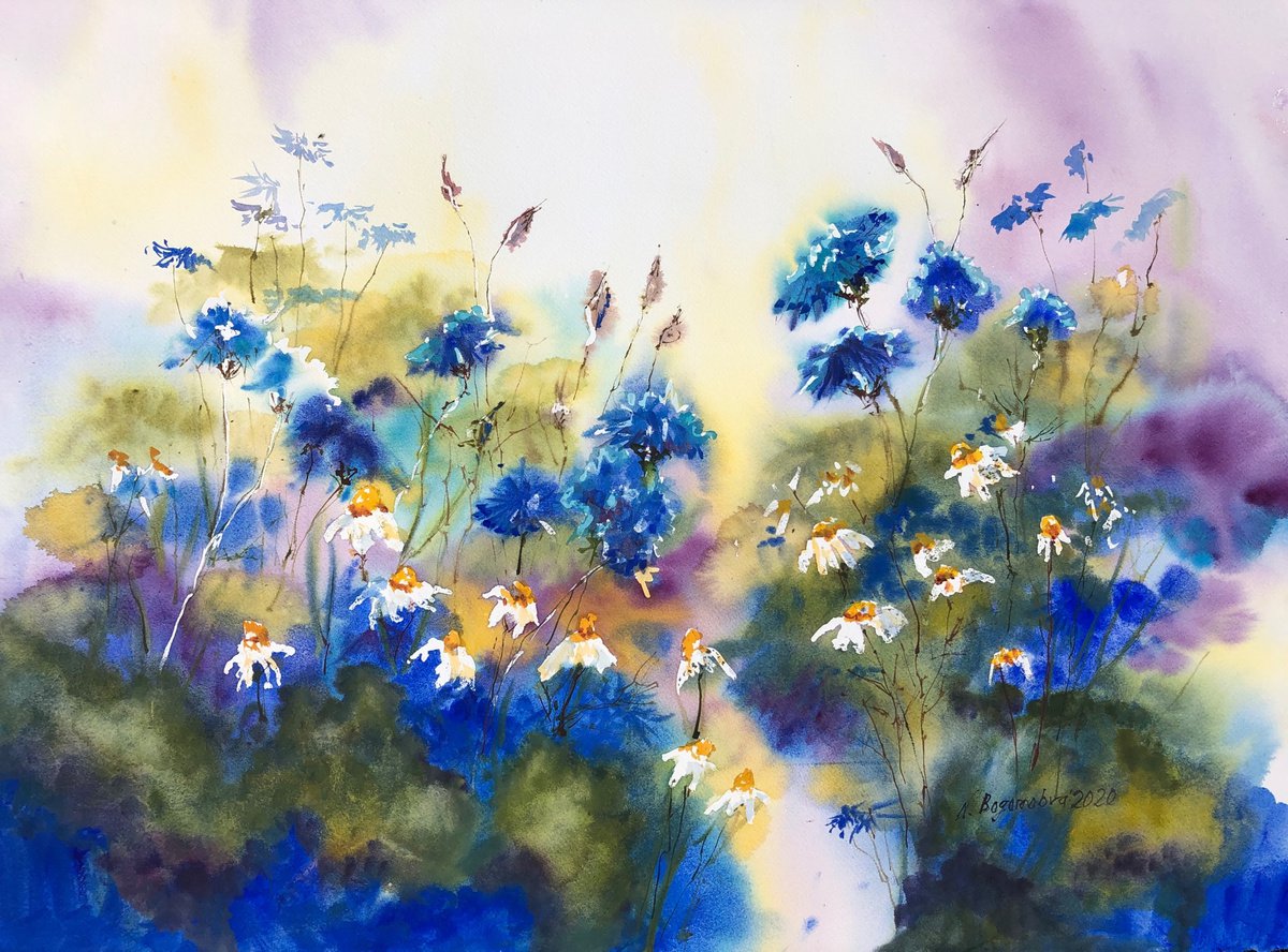 Cornflowers and daisies - blue and white wildflowers by Nadezhda Bogomolova