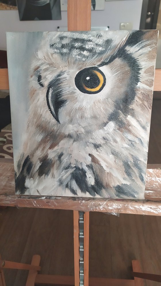 Owl, original bird oil painting, small gift idea, art for home