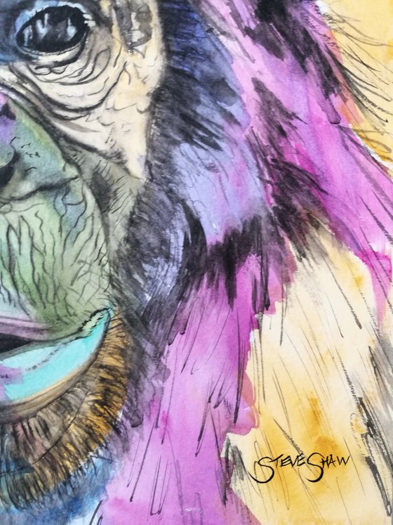 Cheeky Chimp. Monkey Watercolour Painting. 29.7cm x 42cm. Free Shipping