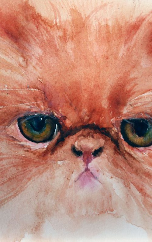 CAT PORTRAIT III  /  Exotic Persian  / ORIGINAL PAINTING by Salana Art Gallery